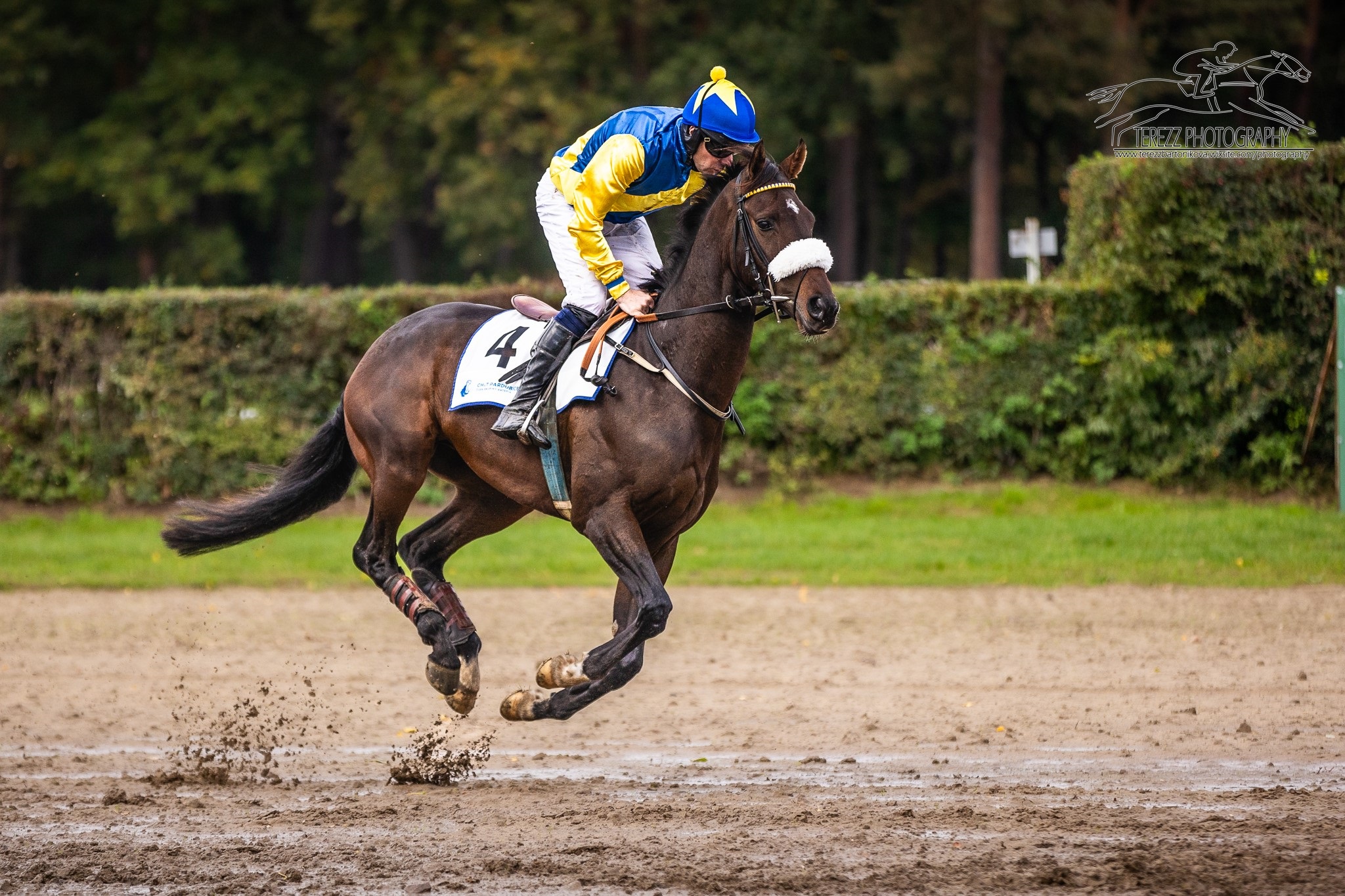 Tradiční Prvomájový mítink v Lysé