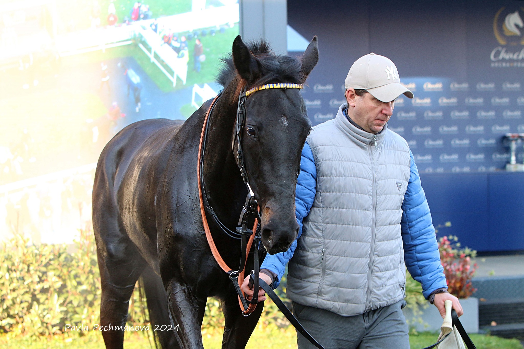 LADY JAMALLE poběží v Bratislavě o 5.000 EUR