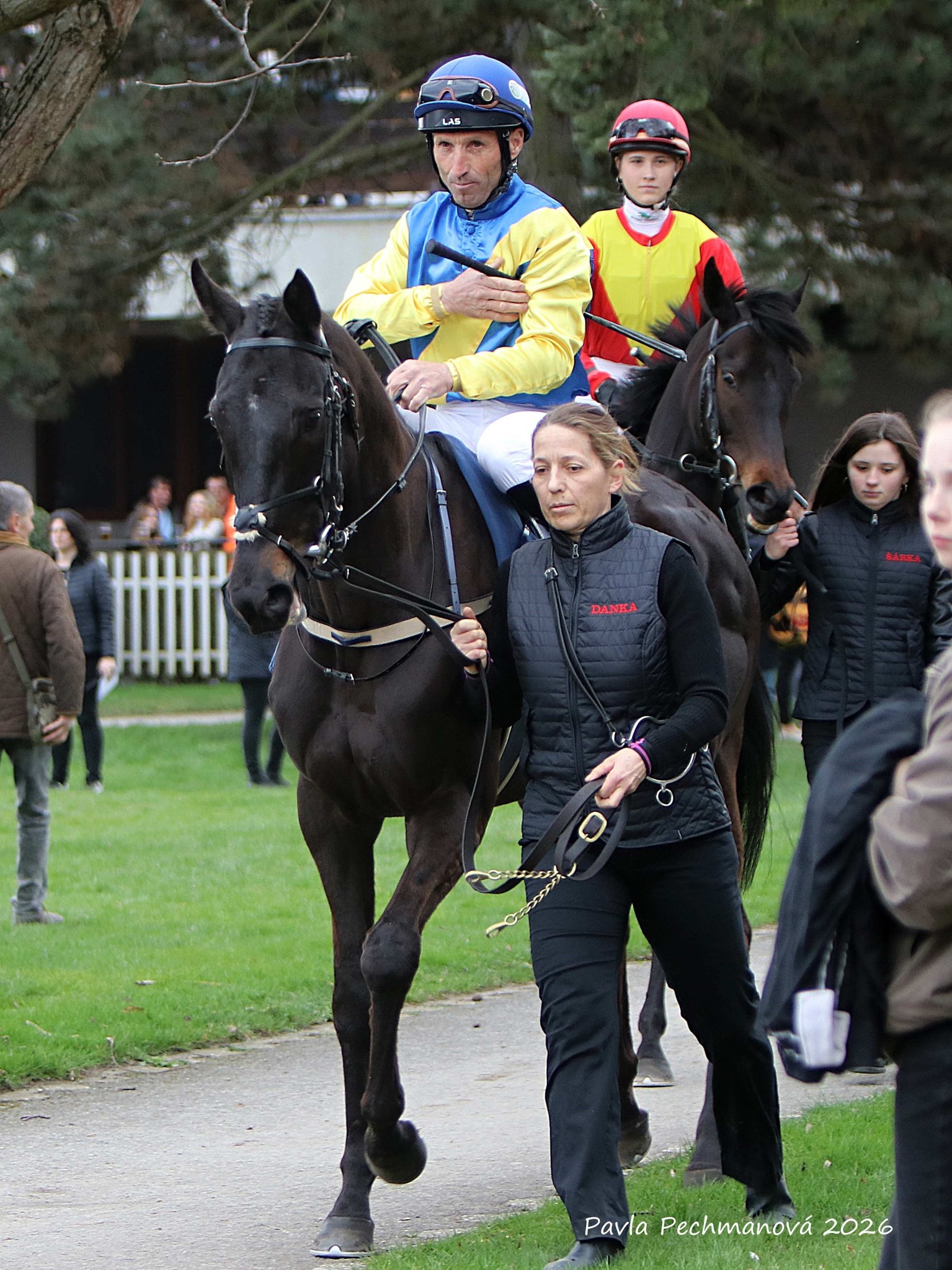 Dva zástupci naší stáje se v sobotu 2. 5. 2026 představí na domácí dráze v Mostě