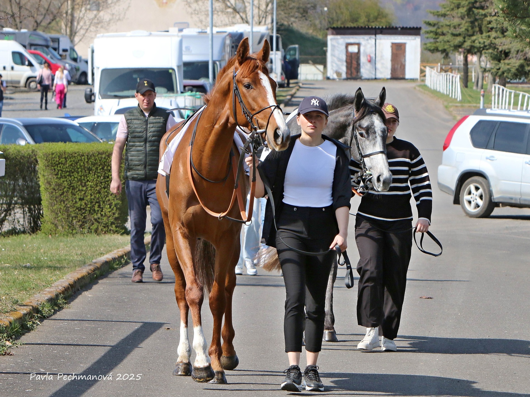 Shrnutí víkendových výsledků z domova i z Merana