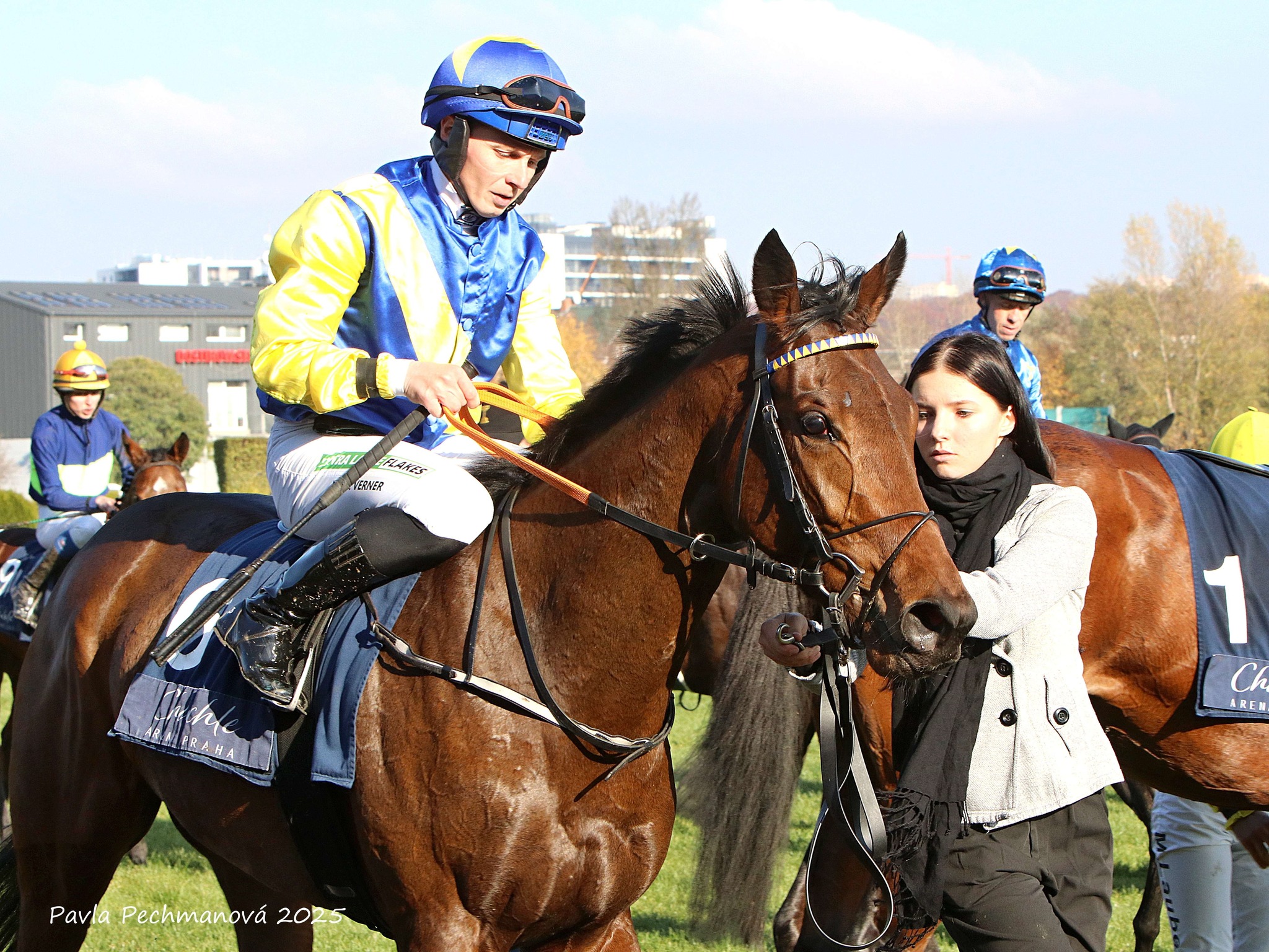 Winter's Way na startu Jarní ceny klisen i Oaks